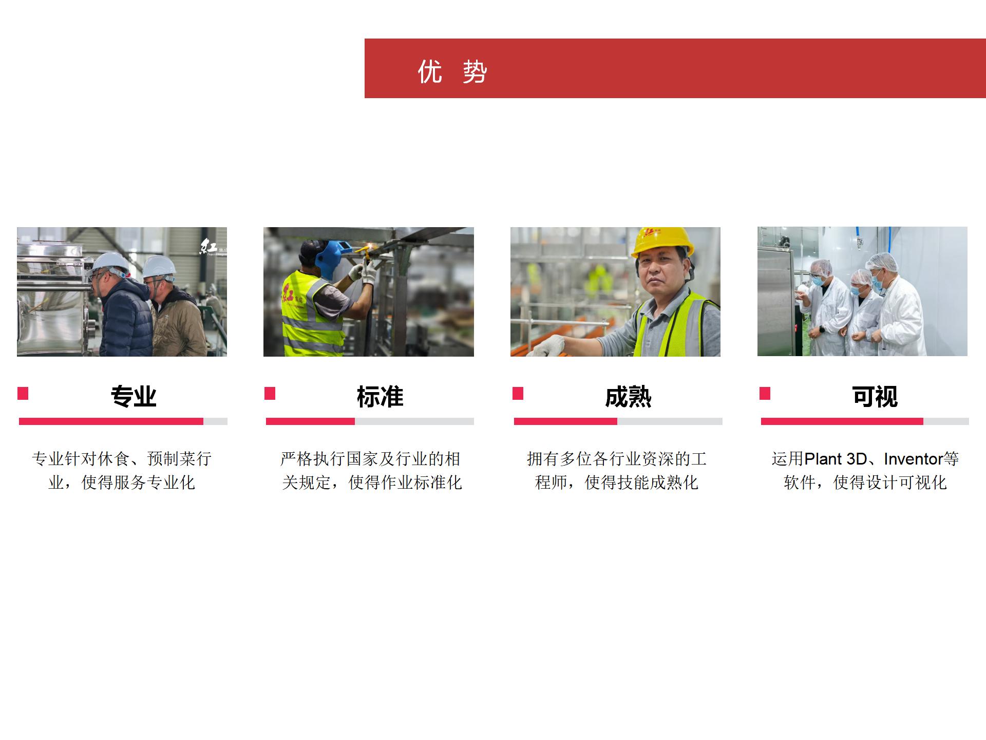 公司优势(图1)