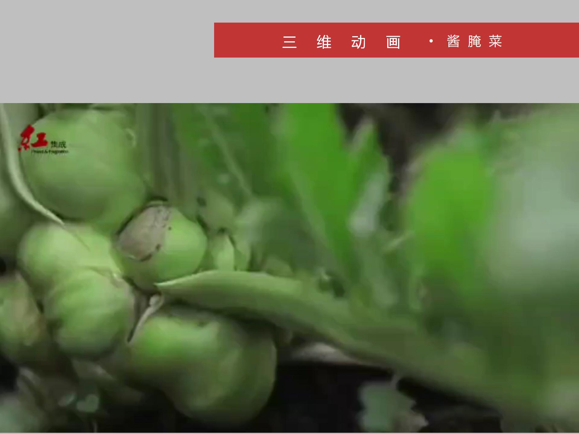 三维动画：酱腌菜