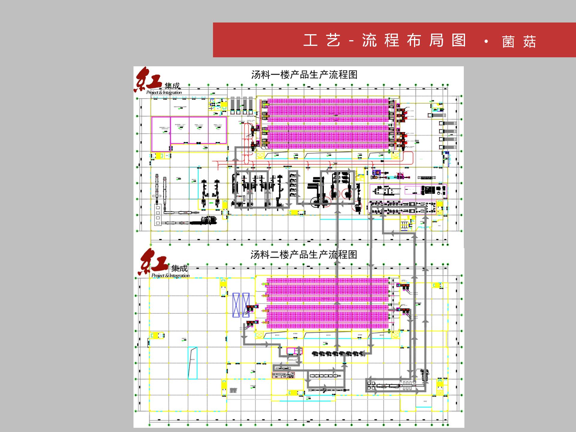 工艺-流程布局图-菌菇